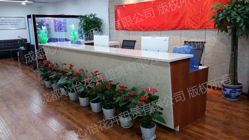 成都辦公室花卉租賃