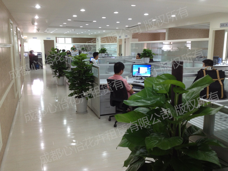 營業部植租賃物擺放案例