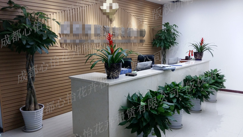 辦公室植物租賃