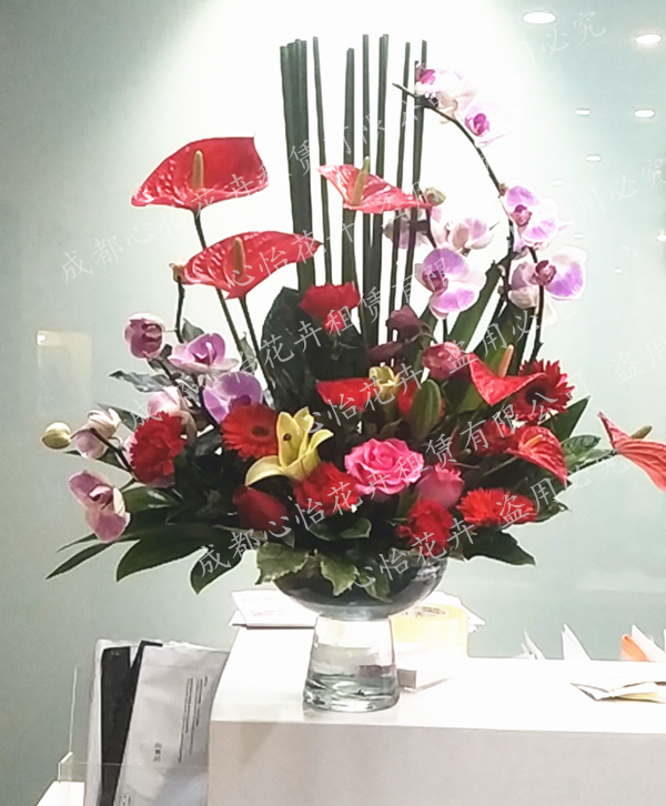 公司前臺插花